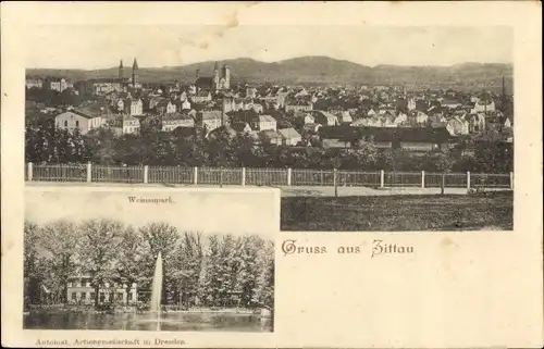 AK Zittau in Sachsen, Weinaupark, Panorama