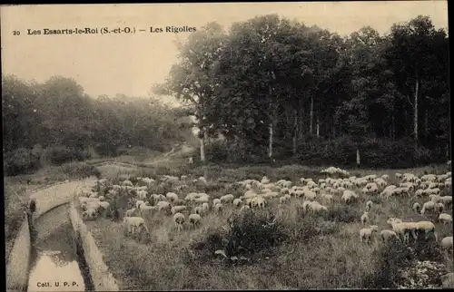 Ak Les Essarts le Roi Yvelines, Les Rigolles