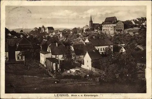 Ak Leisnig in Sachsen, Stadtblick von der Eulenbergstraße