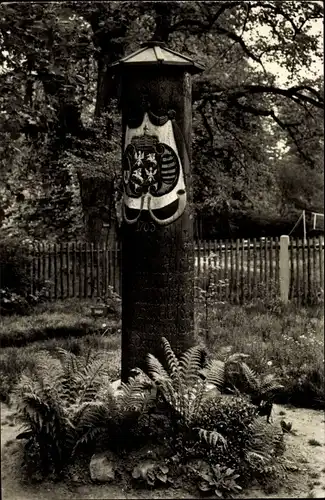 Ak Dahlen in Sachsen, Jägereiche im Volkspark