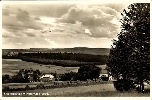 Ak Wernitzgrün im Vogtland, Panorama