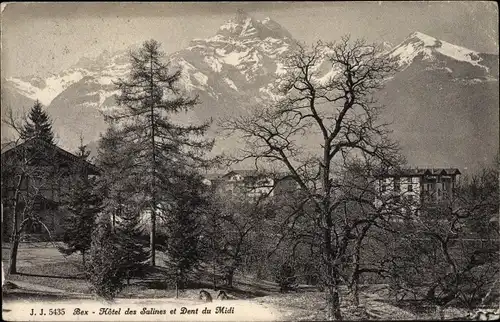 Ak Bex Kanton Waadt, Hotel des Salines et Dent du Midi