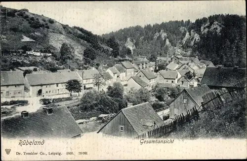 Ak Rübeland Oberharz am Brocken, Gesamtansicht