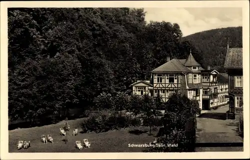 Ak Schwarzburg in Thüringen, Straßenpartie mit Kurhaus und Kurgarten