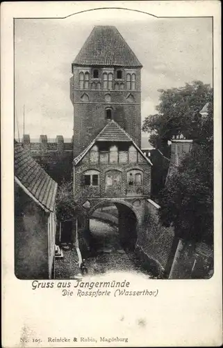 Ak Tangermünde an der Elbe, Rosspforte, Wassertor