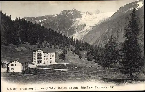 Ak Chamonix Mont Blanc Haute Savoie, Hotel du Col des Montets, Aiguille et Glacier du Tour