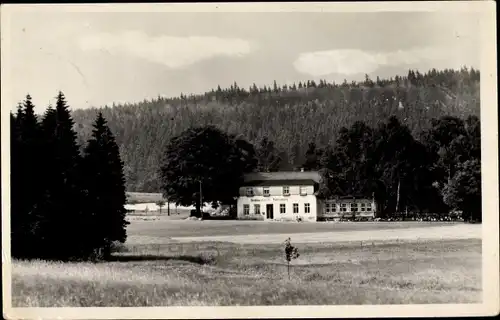 Ak Elterlein im Erzgebirge, Finkenburg, Wald