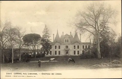 Ak Lussac Gironde, Château de Lussac