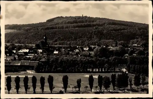 Ak Rochlitz an der Mulde, Rochlitzer Berg, Teilansicht