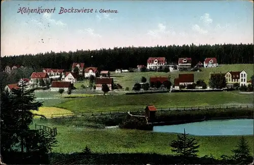 Ak Hahnenklee Bockswiese Goslar im Harz, Gesamtansicht