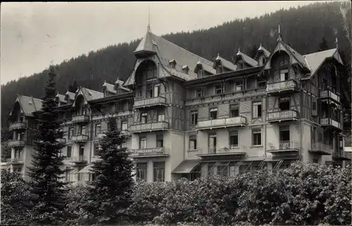 Ak Beatenberg Kanton Bern, Blick auf das Hotel Schweizerhof