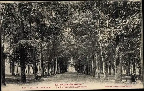 Ak Salies du Salat Haute Garonne, La Promenade d'Austeriltz