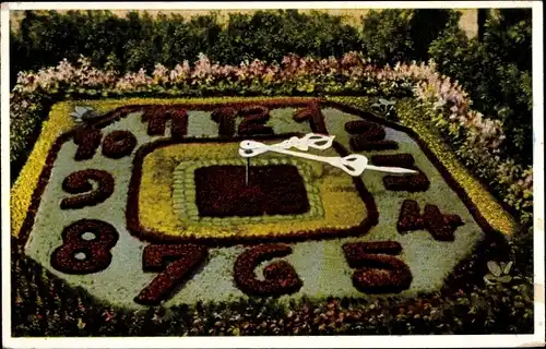 Ak Zittau in der Oberlausitz, Ansicht der Blumenuhr, Gartenkunst