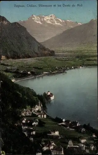 Ak Veytaux Kanton Waadt, Rochers de Naye, Villeneuve et les Dents du Midi