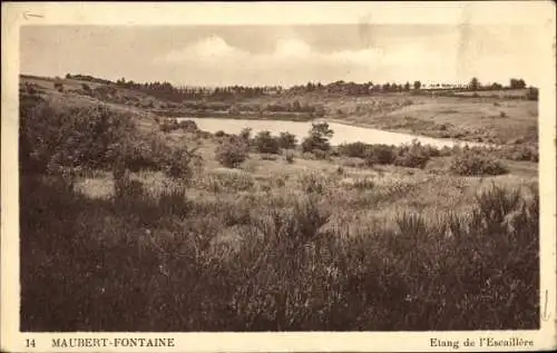 Ak Maubert Fontaine Ardennes, Etang de l'Escaillère