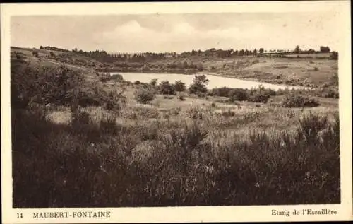 Ak Maubert Fontaine Ardennes, Etang de l'Escaillere