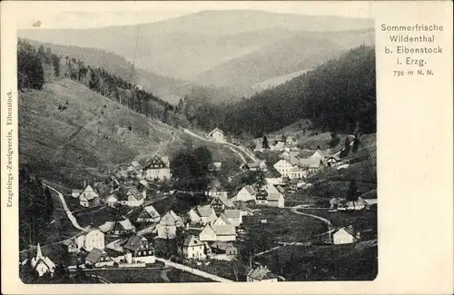 Ak Wildenthal Eibenstock im Erzgebirge, Totale