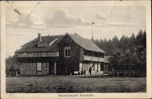 Ak Salzhemmendorf Niedersachsen. Waldwirtschaft Sennhütte, Dreikantiger Stein, Hirschmannsruh