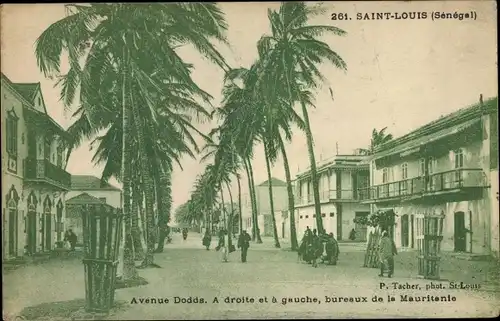 Ak Saint Louis Senegal, Avenue Dodds, bureaux de la Mauritanie, cocotiers