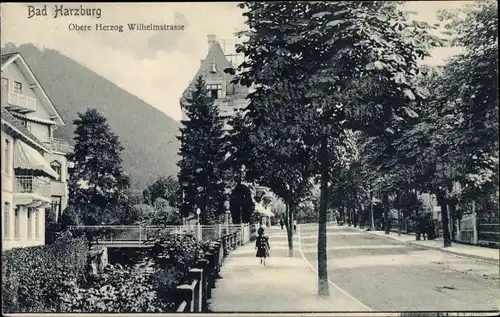 Ak Bad Harzburg am Harz, Obere Herzog Wilhelmstraße