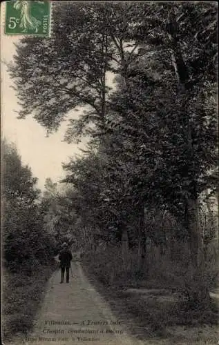 Ak Villennes sur Seine Yvelines, A Travers bois, Chemin conduisant a Poissy