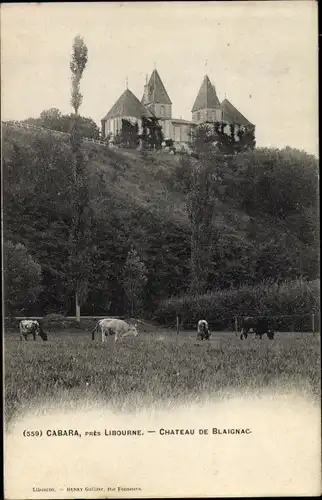 Ak Cabara Gironde, Chateau de Blaignac