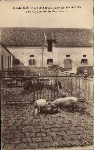 Ak Thiverval Grignon Yvelines, Ecole Nationale d'Agriculture, Les Cours de la Porcherie