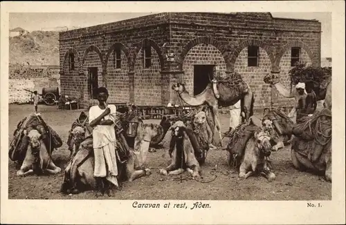 Ak Aden Jemen, Caravan at rest, camels
