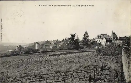 Ak Le Cellier Loire Atlantique, Vue prise a l'Est