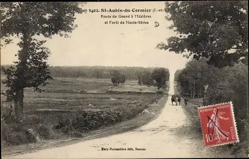 Ak Saint Aubin du Cormier Ille-et-Vilaine, Route de Gosne a Mezieres, Foret de Haute Seves
