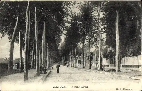 Ak Nemours Seine-et-Marne, Avenue Carnot