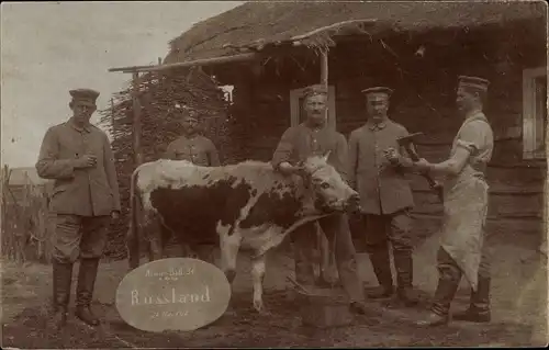 Foto Ak Russland, Soldaten in Uniformen, Rind, I. WK