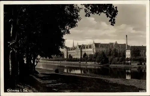 Ak Grimma in Sachsen, Schloss