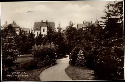 Ak Limbach Oberfrohna Sachsen, Stadtparkpartie