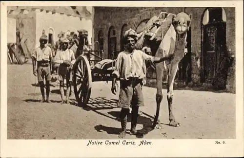 Ak Aden Jemen, Native Camel Carts, Kamel