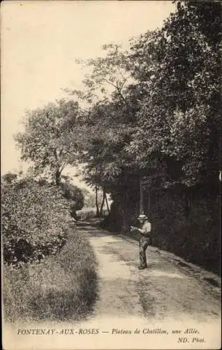 Ak Fontenay aux Roses Hauts de Seine, Plateau de Chatillon, une Allee