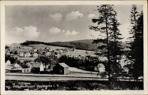 Ak Vogelsgrün Auerbach im Vogtland, Blick auf den Ort