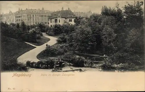 Ak Magdeburg in Sachsen Anhalt, Königin Luise Garten