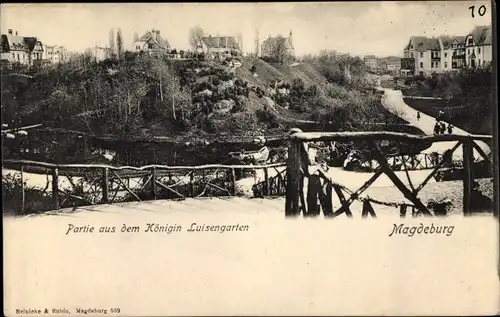 Ak Magdeburg in Sachsen Anhalt, Königin Luise Garten