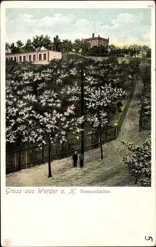 Ak Werder an der Havel, Bismarckhöhe