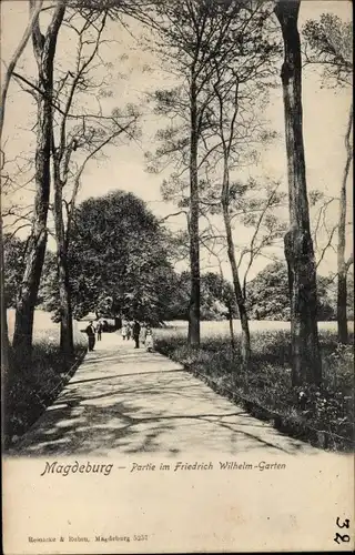 Ak Magdeburg an der Elbe, Friedrich Wilhelm Garten