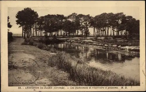 Ak Andernos les Bains Gironde, Les Quinconces et reservoirs a poissons