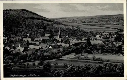 Ak Großleinungen Sangerhausen am Harz, Panorama