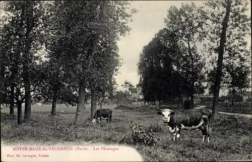 Ak Notre Dame du Vaudreuil Eure, Les Paturages