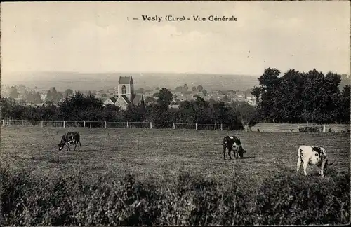 Ak Vesly Eure, Vue Generale