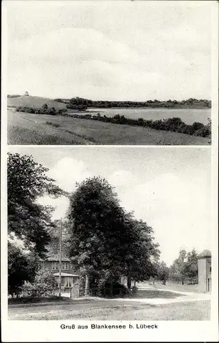 Ak Blankensee in Vorpommern, Straßenpartie, Landschaft