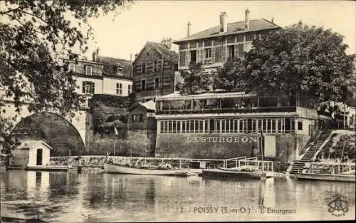 Ak Poissy Yvelines, L'Esturgeon