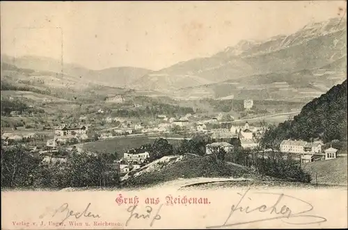 Ak Reichenau an der Rax in Niederösterreich, Panorama