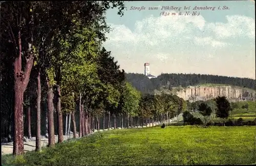 Ak Annaberg Buchholz Erzgebirge, Pöhlberg, Baumallee