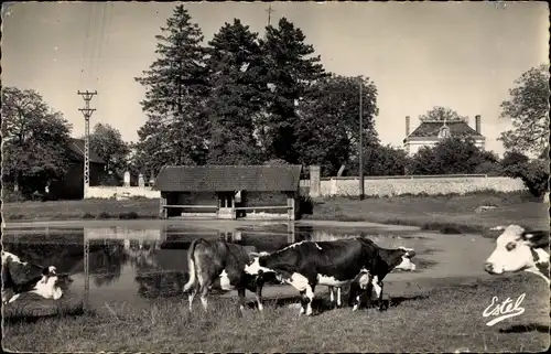 Ak Epieds Eure, La Mare et l'Eglise de Serez